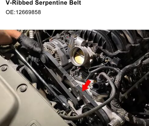 12669858 V-Ribbed Serpentine Belt & 12658178 Air Conditioning Compressor Belt Kit with Tool Compatible with Chevrolet GMC & Cadillac Vehicle in Saudi Arabia