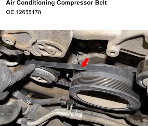 12669858 V-Ribbed Serpentine Belt & 12658178 Air Conditioning Compressor Belt Kit with Tool Compatible with Chevrolet GMC & Cadillac Vehicle in Saudi Arabia