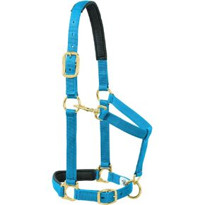 Weaver Leather Padded Adjustable Chin and Throat Snap Halter, 1" Small Horse or Weanling Draft, Solid Blue
