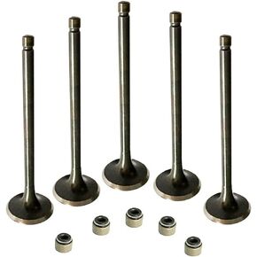 Engine Intake and Exhaust Valve Kit With seal for Yamaha Raptor 660R 2001~2005 Yamaha Grizzly 660 2002-2008 RHINO 660 2004-2007 HiSun Bennche Massimo MSU UTV700 750