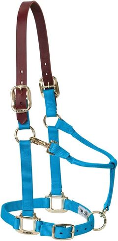 Weaver Leather Adjustable Patterned Nylon Horse Halter in Kuwait