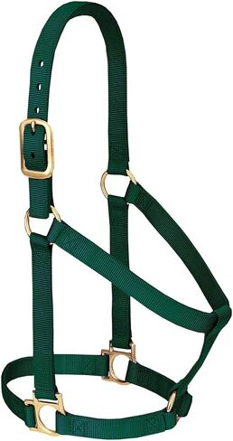 Weaver Leather Adjustable Patterned Nylon Horse Halter in Kuwait