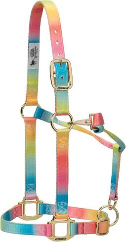 Weaver Leather Adjustable Patterned Nylon Horse Halter in Kuwait