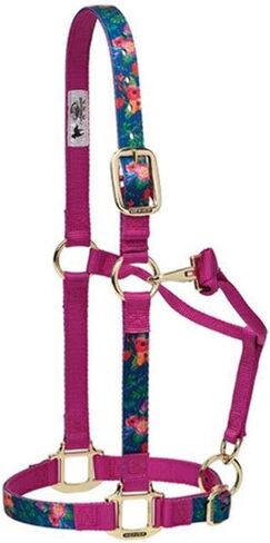 Weaver Leather Adjustable Patterned Nylon Horse Halter in Kuwait