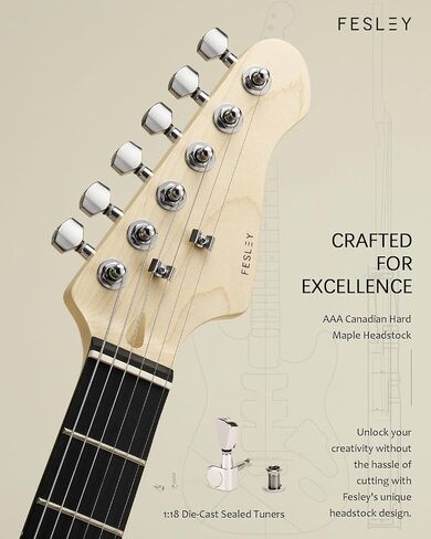 DIY ST Style Electric Guitar Kits with Poplar Body and Canadian Hard Maple Neck, 6 Strings Electric Guitar Kits, Techwood Fretboard, SSS Pickups, Build Your Own Guitar Kit, Black in Saudi Arabia