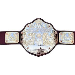 STANE NWA Big 24K Gold Zinc Championship Belt Silver, Black One Size