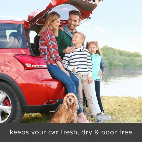 Moso Natural Car Air Freshener and Deodorizer | Long Lasting Bamboo Charcoal Odor Absorber | Non Toxic Odor Eliminator for Cars | Scent Free Air Purifying Bag in Kuwait
