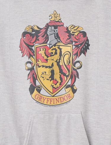 Harry Potter Gryffindor House Crest Boy's Hooded Pullover Fleece in Saudi Arabia