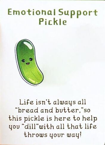 LIU JUN Cute Pickle Design Keychain With Pocket Hug Card, Emotional Support Fun Pocket Hug Positive Pickle with Support Card in Saudi Arabia
