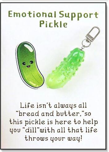 LIU JUN Cute Pickle Design Keychain With Pocket Hug Card, Emotional Support Fun Pocket Hug Positive Pickle with Support Card in Saudi Arabia