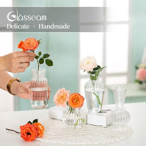 Modern Clear Glass Bud Vase Set: Glasseam 8Pcs Small Mini Flower Centerpieces Vases Handmade Decorative Cute Short Window Home Decor for Wedding Reception Dining Table Single Rose in Saudi Arabia