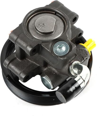 مضخة توجيه كهربائية مع بكرة 20-282 لـ 1997-2005 F-150 4.2L 4.6L 5.4L، لـ 2001-2002 إكسبيديشن، لـ 1999-2002 كراون فيكتوريا وجراند ماركيز، لـ 1997-1999 لوبو، استبدل OE 36-817129 in Kuwait