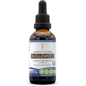 Bugleweed USDA Organic | Alcohol-FREE Extract, High-Potency Herbal Drops, Respiratory System | Made from 100% Certified Organic Bugleweed (Ze Lan, Lycopus Virginicus) Dried Herb (2 FL OZ)