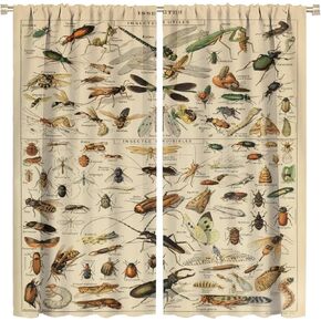 Bugs Curtains, Sketch Style Insect Arrangement of Grasshopper Ladybug and Butterfly Illustration, Room Blackout Curtains 2 Panels, White Brown 42x63in