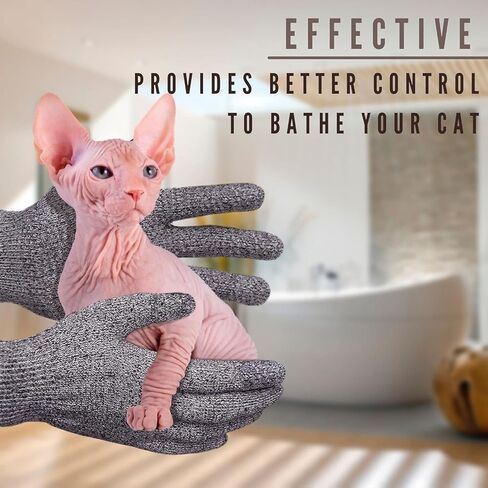 كوتومودا قفازات تقشير الجسم من الخيزران المكربن للقطط بدون شعر من سفينكس in Kuwait