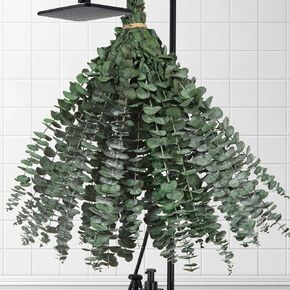 30 Pcs Dried Eucalyptus Stems for Shower, 17'' Natural Real Preserved Eucalyptus Leaves Branches Hanging, Fresh Eucalyptus Plant Bundle for Home SPA Bathroom Wedding Wall Vase Decor, Bath Essentials