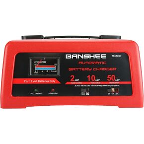 Deep Cycle Fast Charger for 12V 12 Volt Batteries - 2/10/50 amp Charge Methods
