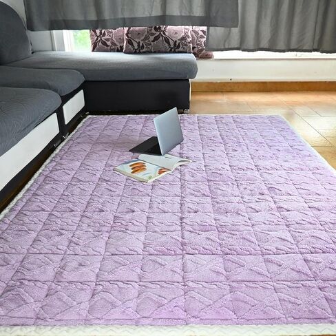 Beyeutao Purple High Pile Area Rug, 4x6.6 Feet, Velvet, Non-Slip, Plush, Mattress Pad Ties, Living Room, Bedroom Decor in Saudi Arabia