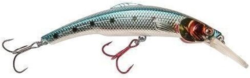 Matzuo Kinchou Minnow Bait in Saudi Arabia