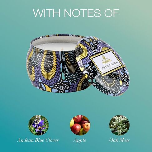 Voluspa Goji Tarocco Orange Petite Tin Candle, 4 Ounces in Kuwait