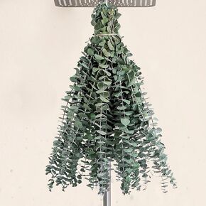 12Pcs Dried Eucalyptus Stems for Shower 17" Natural Preserved Dried Eucalyptus Shower Plant, Fresh Eucalyptus Branches Leaves Greenery Hanging, Flowers Arrangement, Wedding, Vase Filler, Home Decor