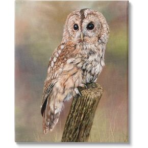 Stupell Industries Brown Tawny Owl Perched Intricate Woodland Wildlife Painting Canvas Wall Art, Design By David Stribbling