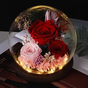 Rose in Glass Dome, Long-Lasting Real Flowers, with LED Light, Unique for Mother's Day & Christmas, Preserved Flowers Rose Gifts for Wife Girlfriend Mom (Red)