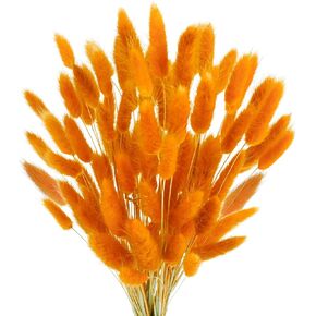100 Pcs Bunny Tails Dried Flowers, Natural Dried Bunny Tails Grass Dried Lagurus Ovatus Rabbit Tail Grass for Flowers Arrangements DIY Craft Wedding Party Home Table Decor (Pink)