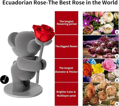 Preserved Flowers with Cute Teddy Bear, Eternal Real Rose Romantic Gift with Elegant Gift Box for Girlfriend Wife Her in Valentine's Day, Birthday, Christmas, Weddings, Anniversaries in Saudi Arabia