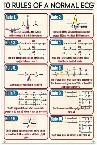 10 RULES OF A NORMAL ECG Perfect Home Decor for Toilet, Restaurant, Kitchen, Bar, Sports Bar Pub Cafe Coffee Shop Man Cave Garage Iron Painting-tin22 in Saudi Arabia