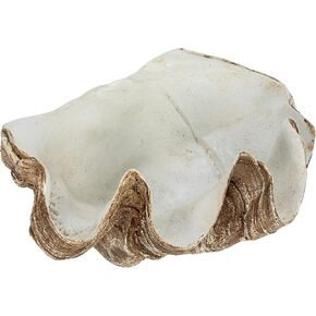 Creative Co-Op Decorative Resin Clam Wall Bowl, Beige