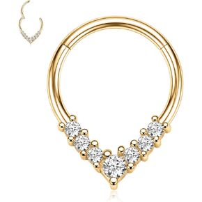 FUNLMO Septum Ring Daith Tragus Helix Rook Cartilage Piercing Jewelry 316L Surgical Steel Nose Ring Hoop Teardrop Hinge Segment Ring