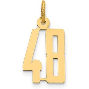 Solid 14k Yellow Gold Small Polished Elongated 48 Pendant Charm
