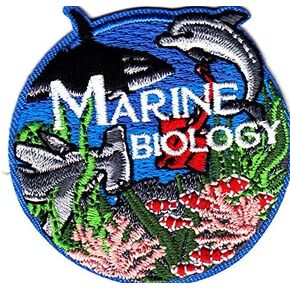 Bubbacare Marine Biology - Shark - Dolphin - Ocean - Beach -SEA Creature - Iron ON PATCHF