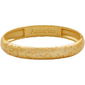Alex and Ani AA741123SAG