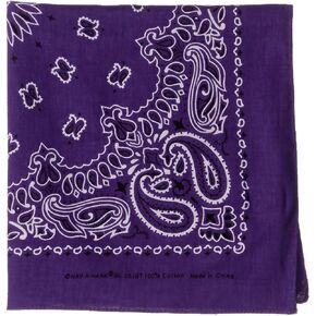 Carolina HAV-A-Hank Paisley Bandanna 22"X22"، أرجواني