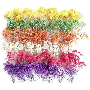 120 Pcs Mini Dried Baby Breath Flowers Gypsophila Ivory Flowers Dried Flowers for Vase Wedding Home Office Party Garden Card Making Decor Wreath Floral Craft DIY Art (White)