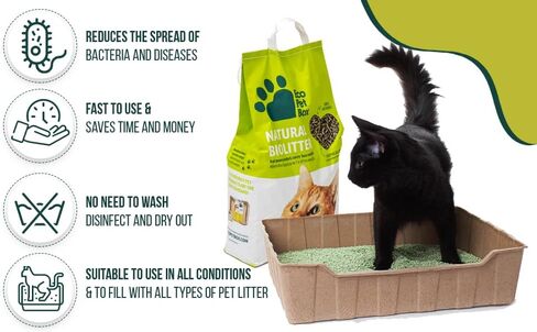 Disposable Litter Box 3 ct in Saudi Arabia