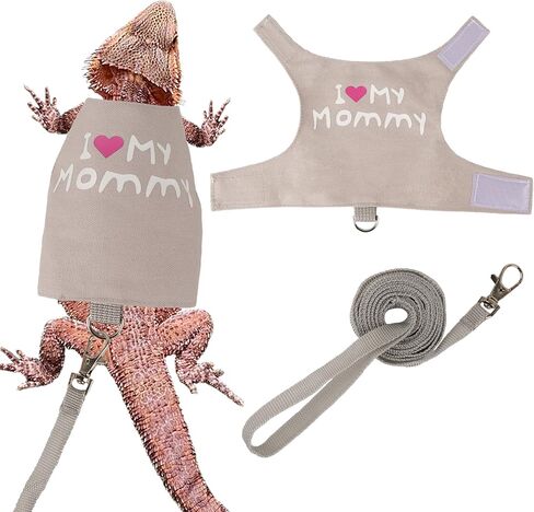 ADOGGYGO Bearded Dragon Harness Leash Set, Lizard Dragon Costume Adjustable Lizard Dinosaur Leash Harness for Bearded Dragon Reptiles (Green, Small) in Kuwait