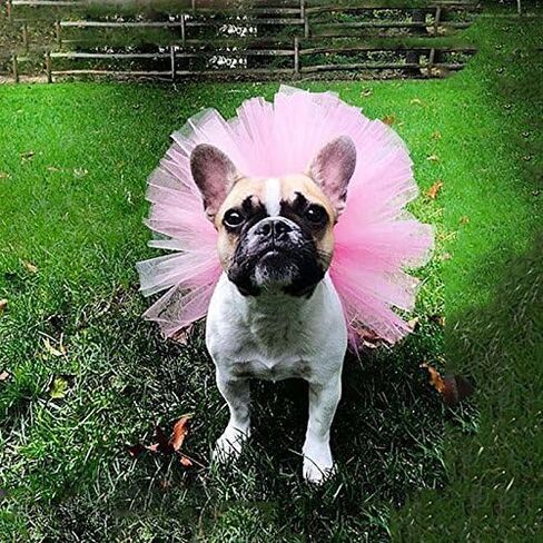 Pink Pet Puppy Small Dog Lace Skirt Princess Tutu Dress Clothes Apparel Pet Costumes Dog Dresses Pet Apparel and Accessories in Saudi Arabia