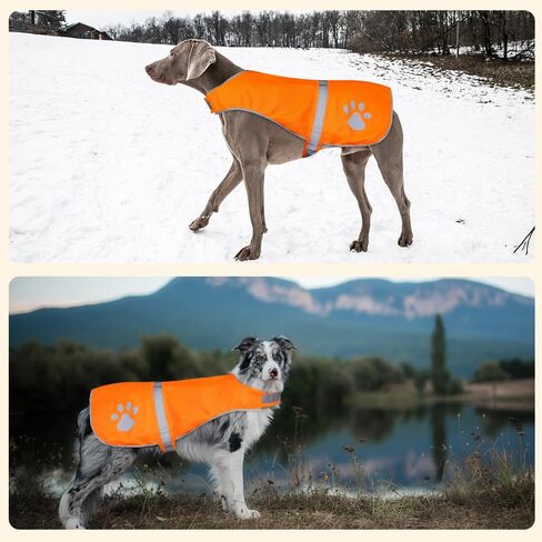 Dog Reflective Vest - Adjustable Dog Safety Vest, High Visibility Dog Apparel for Outdoor Activities Walking Hunting (Green, Small) in Kuwait