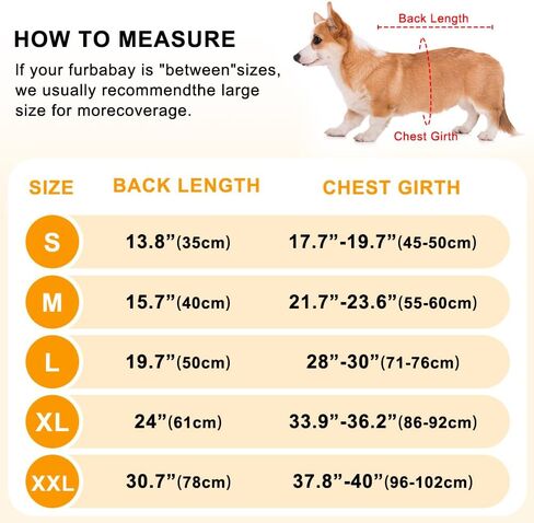 Dog Reflective Vest - Adjustable Dog Safety Vest, High Visibility Dog Apparel for Outdoor Activities Walking Hunting (Green, Small) in Kuwait
