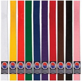 Extra Long Karate/Martial Arts Rank Belts