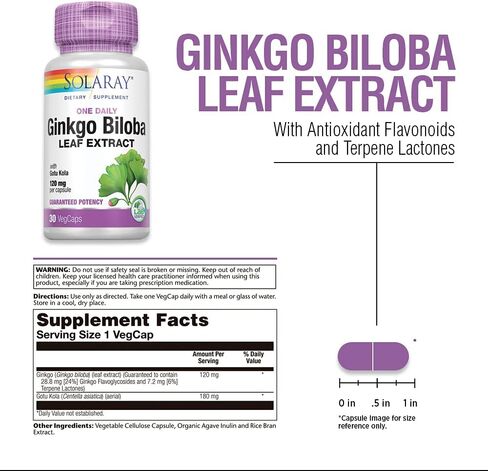 Solaray One Daily Ginkgo Biloba Leaf Extract | الدورة الدموية الصحية، ودعم وظائف الذاكرة والدماغ (60 كبسولة نباتية) (60 كبسولة نباتية) in Kuwait