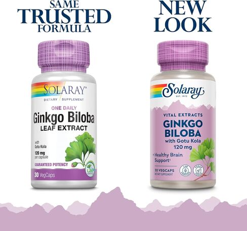 Solaray One Daily Ginkgo Biloba Leaf Extract | الدورة الدموية الصحية، ودعم وظائف الذاكرة والدماغ (60 كبسولة نباتية) (60 كبسولة نباتية) in Kuwait