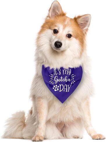 It's My Gotcha Day Dog Bandana, Pink Dog Bandana, Pet Dog Scarf Accessories, Pet Dog Triangle Scarf, Funny Cute Dog Bandana, Dog Bandana for Small Medium Large Dogs, Dog Bandana Pet Scarf (E19) in Kuwait