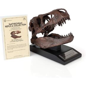 The Nation's T-Rex Skull Statue | Smithsonian Fossil Replica | 6-Inch Tall Tyrannosaurus Rex Desk Statue | 1:10 Scale