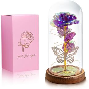 Rose Flowers Gifts for Women Valentines Day Gifts for Her for Mom Roses Gifts for Birthday Anniversary Rose in Glass Dome with LED Lamp (2 Red Roses)