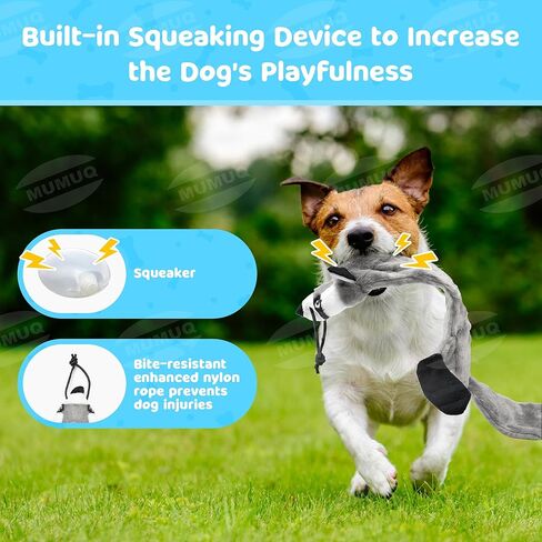 عصا مغازلة للكلاب، عصا مغازلة قابلة للسحب مع طعم، لعبة تفاعلية للكلاب للتدريب في الهواء الطلق، عصا مغازلة مقاس 40 بوصة للكلاب الصغيرة والمتوسطة والكبيرة in Kuwait