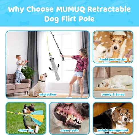 عصا مغازلة للكلاب، عصا مغازلة قابلة للسحب مع طعم، لعبة تفاعلية للكلاب للتدريب في الهواء الطلق، عصا مغازلة مقاس 40 بوصة للكلاب الصغيرة والمتوسطة والكبيرة in Kuwait